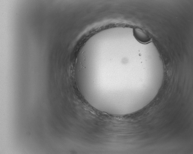 X0000080101495200612301904