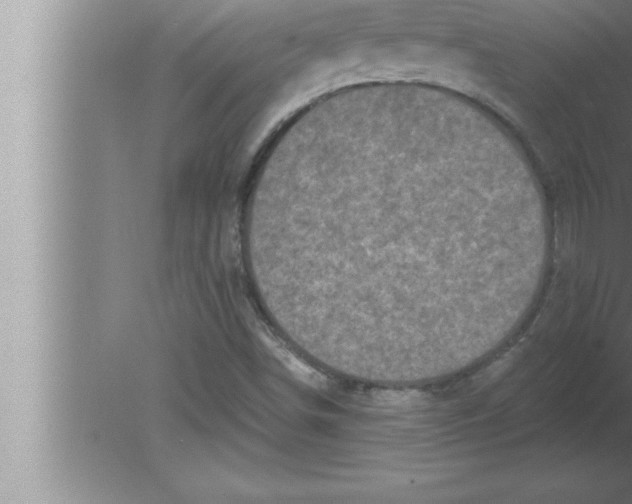 X0000080101498200612301904