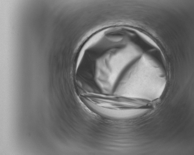 X0000080101500200612301904