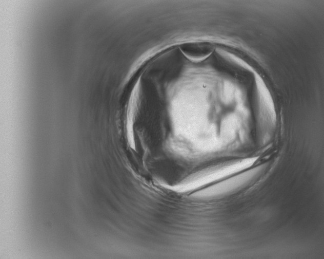 X0000080101501200612301904