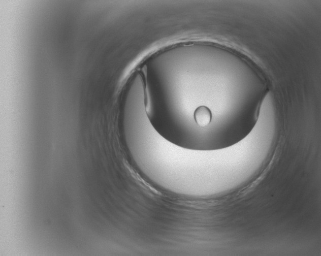 X0000080101502200612301904