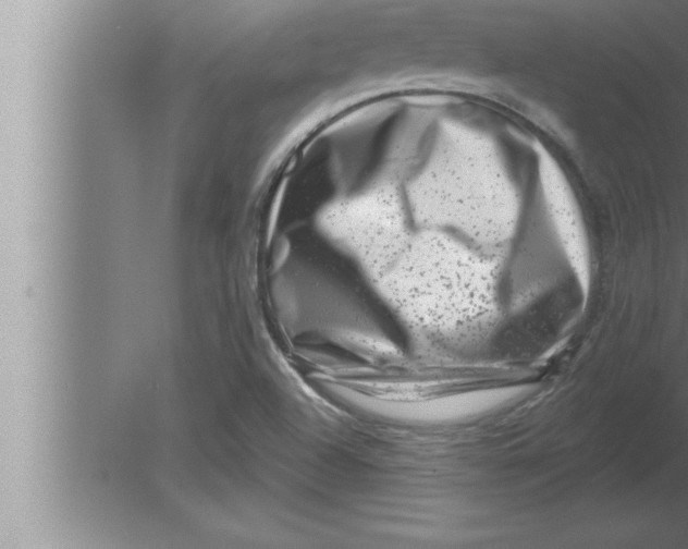 X0000080101504200612301904