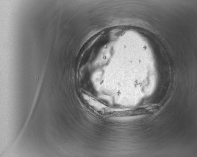 X0000080101505200612301904