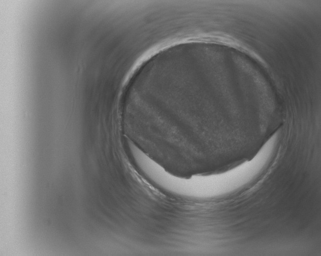 X0000080101506200612301904