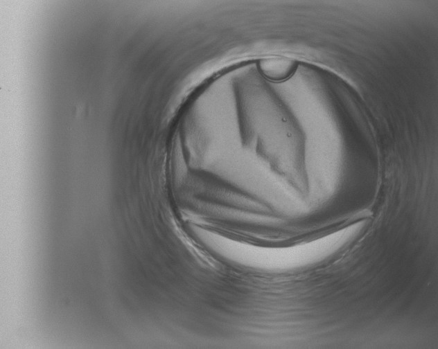 X0000080101507200612301904