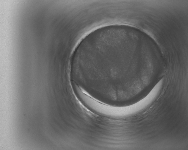 X0000080101508200612301904