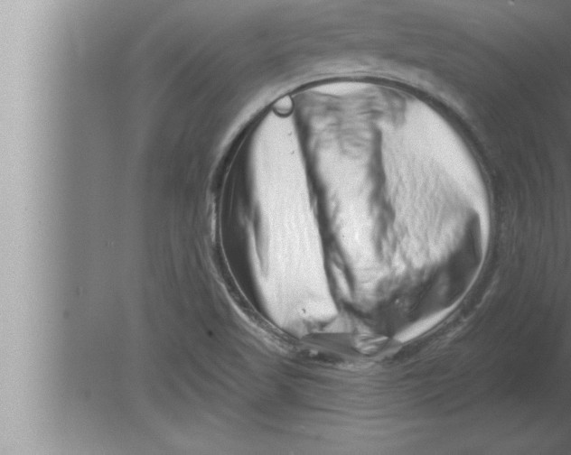 X0000080101509200612301904