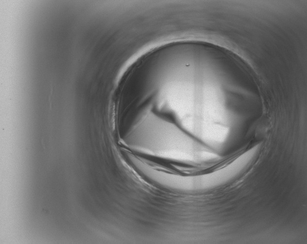 X0000080101510200612301904