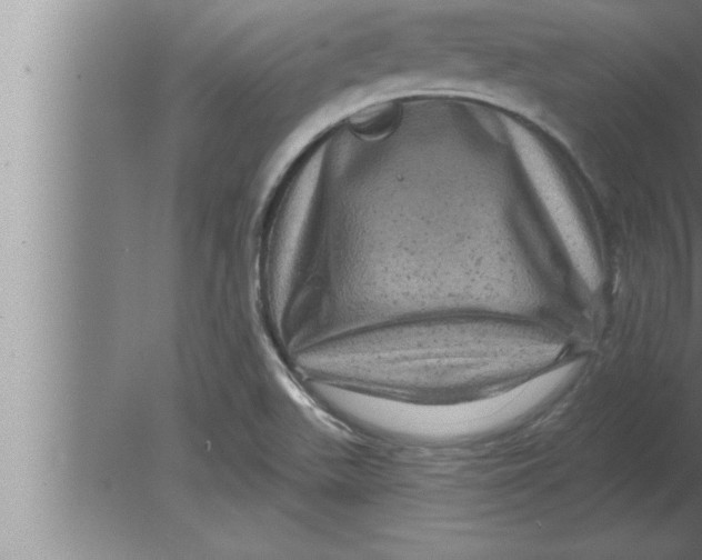 X0000080101511200612301904