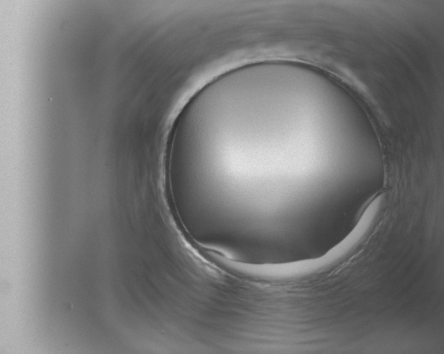 X0000080101512200612301904