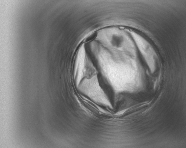 X0000080101513200612301904