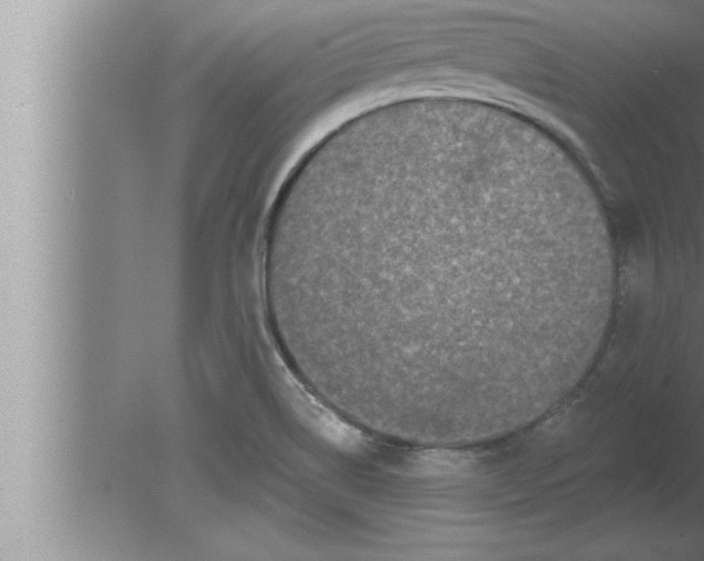 X0000080101514200612301904