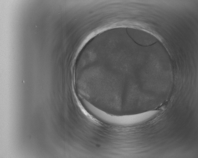 X0000080101515200612301904