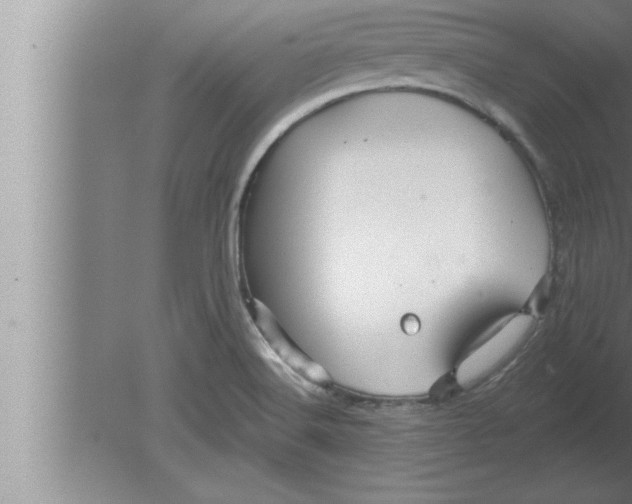 X0000080101516200612301904