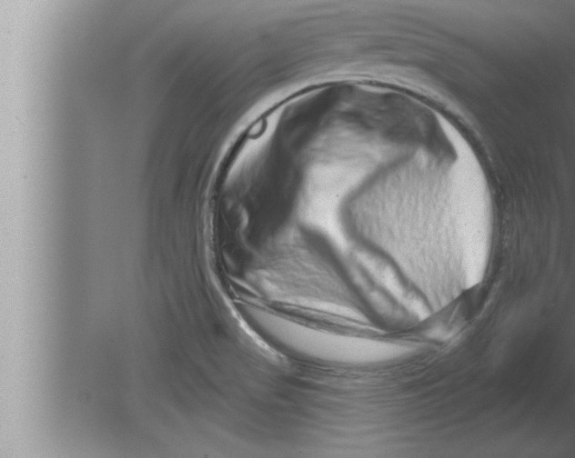 X0000080101517200612301904