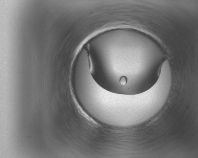 X0000080101518200612301904