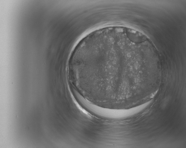 X0000080101519200612301904