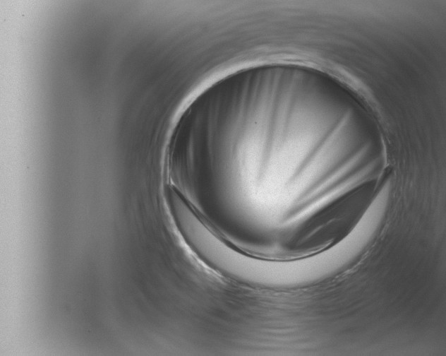 X0000080101520200612301905