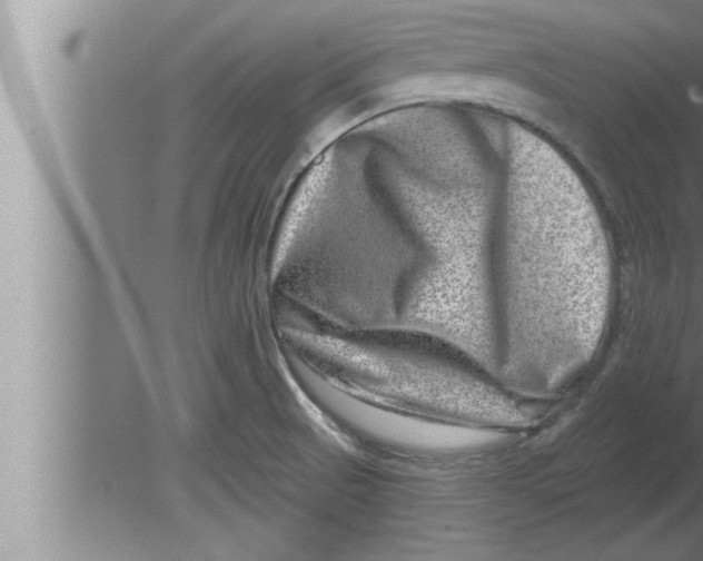 X0000080101521200612301905