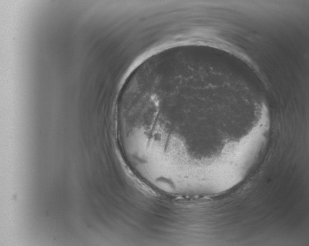 X0000080101522200612301905