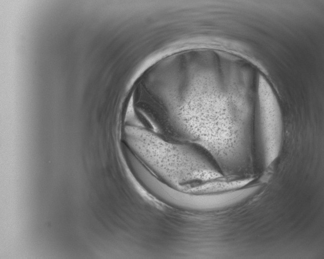 X0000080101523200612301905