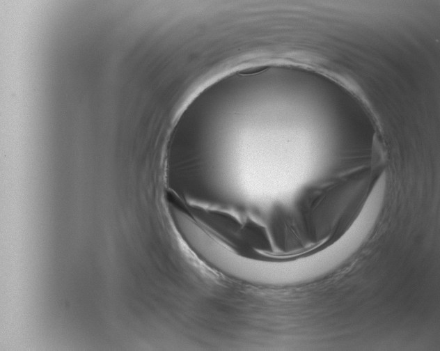 X0000080101524200612301905