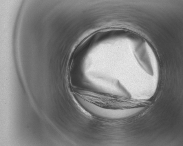 X0000080101525200612301905