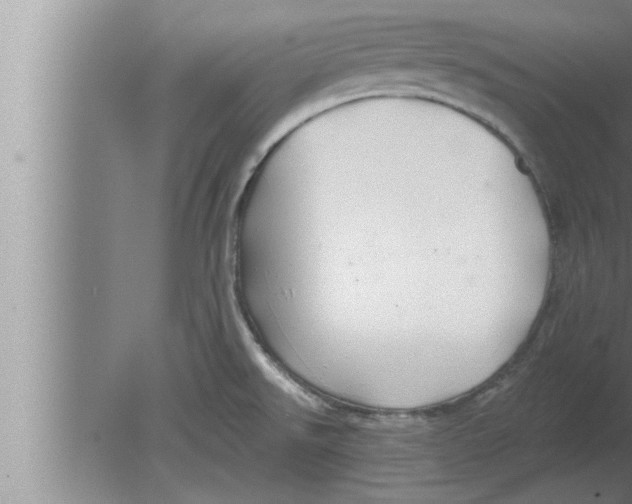 X0000080101526200612301905