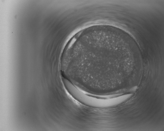 X0000080101527200612301905