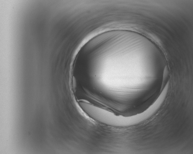 X0000080101528200612301905