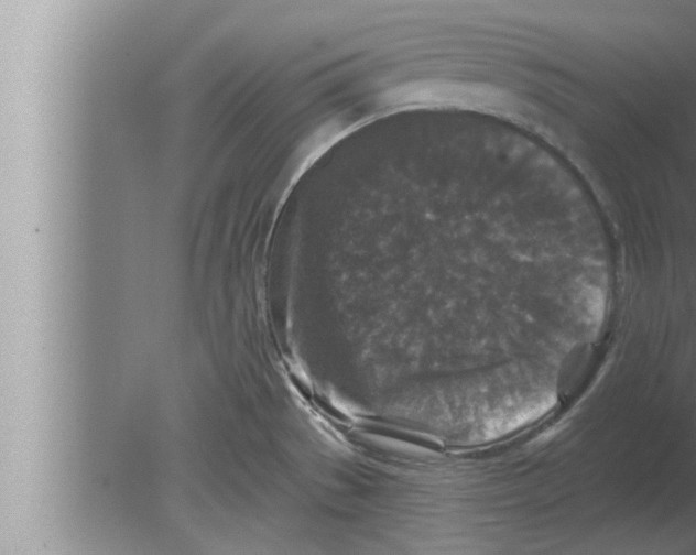 X0000080101529200612301905