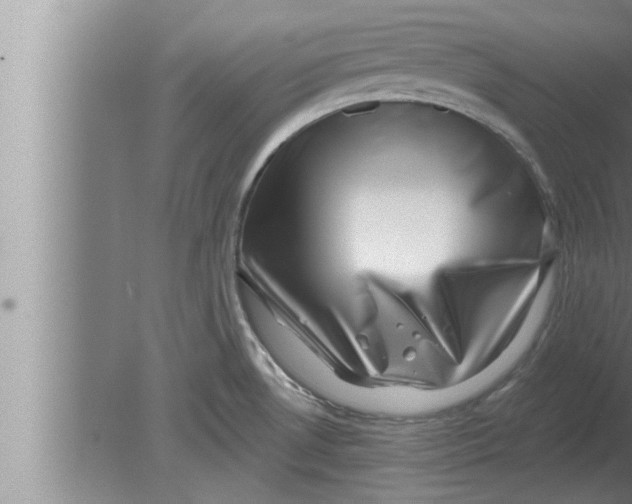 X0000080101530200612301905