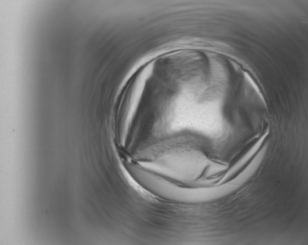 X0000080101531200612301905