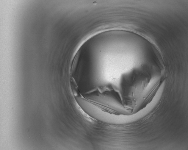 X0000080101532200612301905