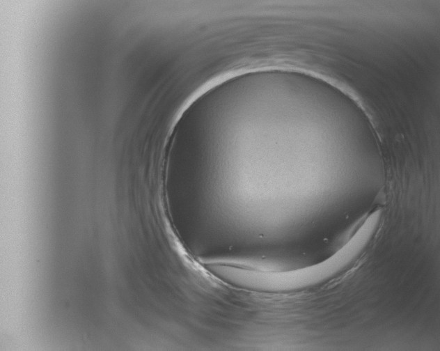 X0000080101534200612301905