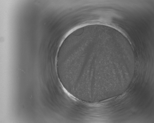 X0000080101535200612301905