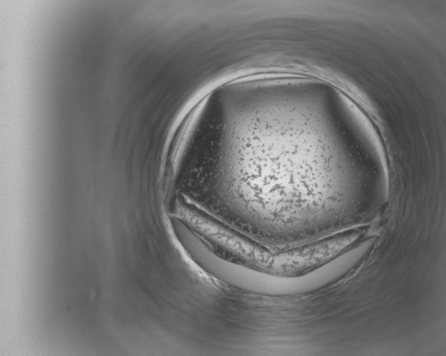 X0000080101536200612301905