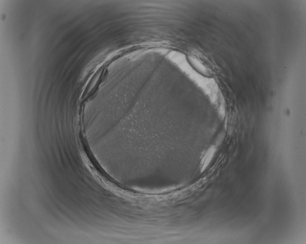 X0000080100002200701051316