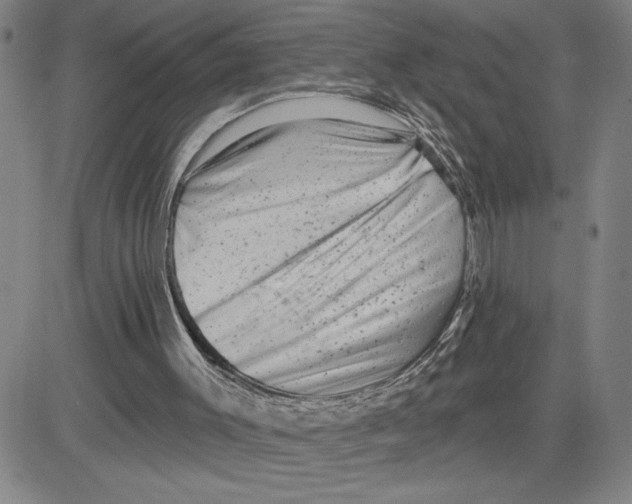 X0000080100003200701051316