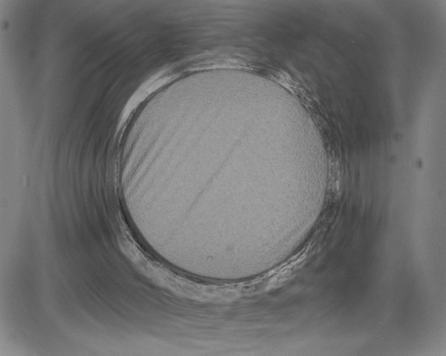 X0000080100004200701051316