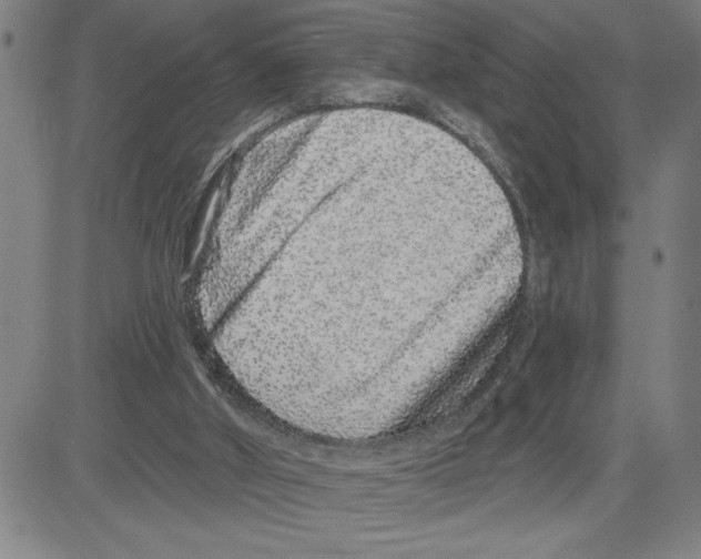 X0000080100010200701051316