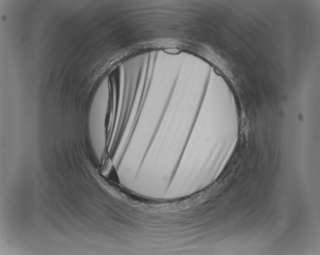 X0000080100013200701051316