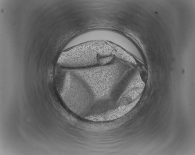 X0000080100017200701051316