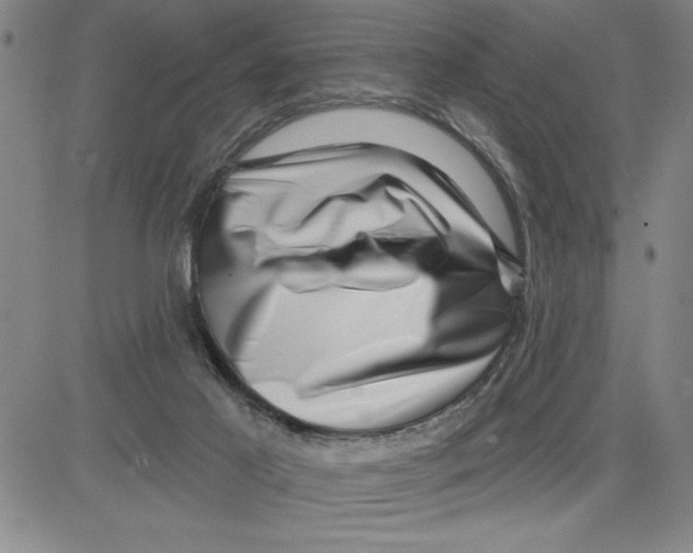 X0000080100021200701051316