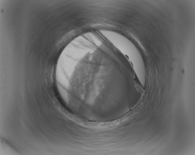 X0000080100023200701051316