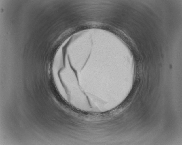 X0000080100024200701051316