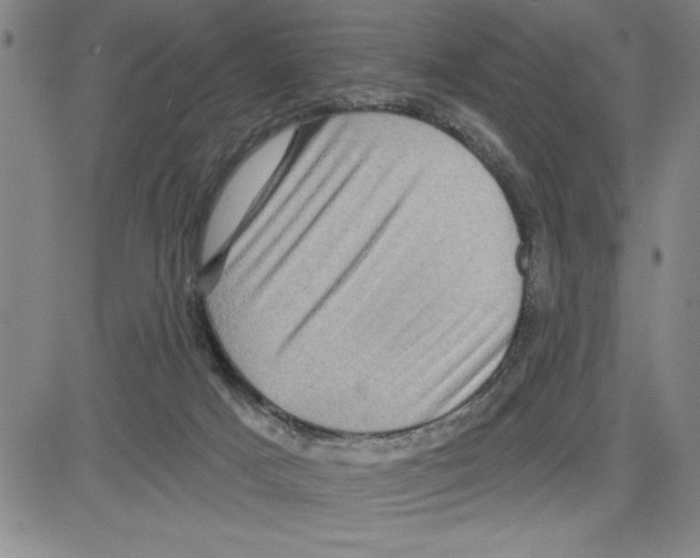 X0000080100025200701051316