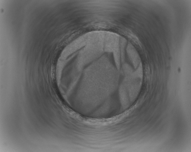X0000080100029200701051316