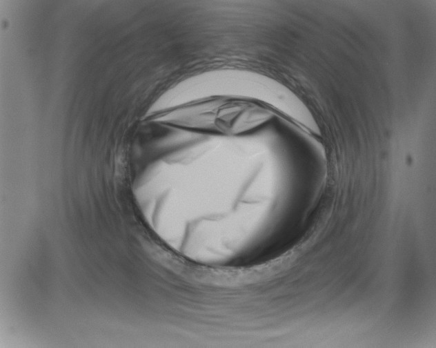 X0000080100037200701051316