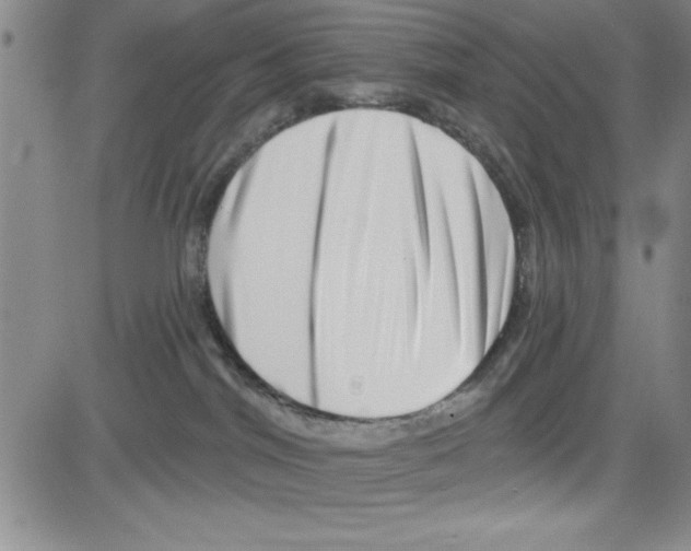 X0000080100044200701051315
